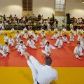 Fotó: judo.hu