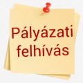 Pályázat 2 fő területi védőnő munkakör betöltésére Pályázat 2 fő területi védőnő munkakör betöltésére