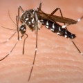 Szúnyoggyérítés - Lakossági tájékoztató