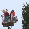 Ünnepi díszbe öltözött a város karácsonyfája