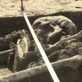 Szkíta temetőt találtak Cegléd és Abony között