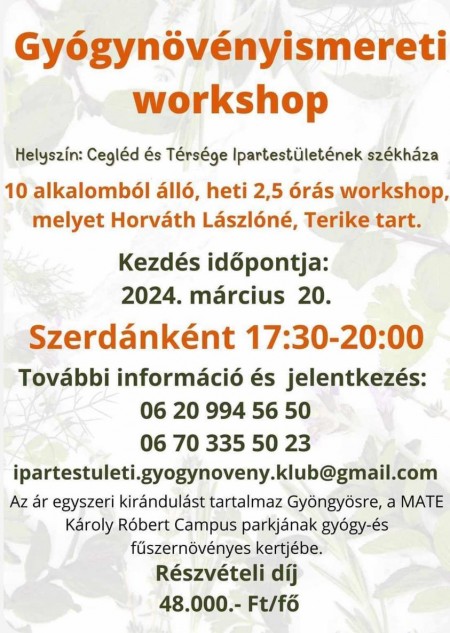 Gyógynövényismereti workshop