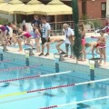 Általános iskolák úszóversenye