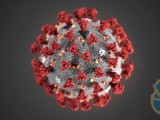 Intézkedések a koronavírus kapcsán