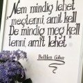 MEGHÍVÓ a Szociális Munka Világnapja alkalmából rendezendő ünnepségre MEGHÍVÓ a Szociális Munka Világnapja alkalmából rendezendő ünnepségre