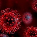 Fotó: koronavirus.gov.hu