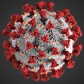 Tájékoztató a Koronavírus világjárvány következményeinek elhárítása érdekében 2020. november 11-től elrendelt korlátozó intézkedések hatályának meghosszabbításáról