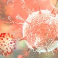  
(A kép illusztráció!/Forrás: koronavirus.gov.hu)