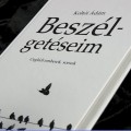 Beszélgetéseim