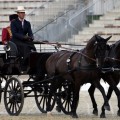 Fotó: Ceglédi Lovaskör Sport Egyesület