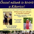 Ősszel nálunk is kivirít a Kikerics!