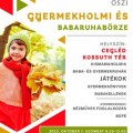 Őszi gyermekholmi és babaruhabörze Őszi gyermekholmi és babaruhabörze