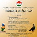 Nemzeti kiállítás Nemzeti kiállítás