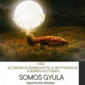 A szarvas nyomai Égen és Földön I.