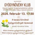 Gyógynövény Klub