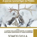 A szarvas nyomai Égen és Földön III.