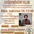 Gyógynövény Klub