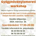 Gyógynövényismereti workshop