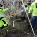 Korábbi bűntársat öltek meg és rejtettek el az elkövetők