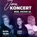 Jazz koncert
