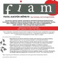 FIAM - Nulladik alkotói nap