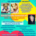 Ha van közös akarat!