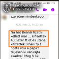Csalással több száz millió forint kárt okozott