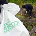 TeSzedd! - Önkéntesen a tiszta Magyarországért!