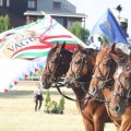 Nemzeti Vágta 2017. szeptember 15-17.