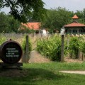"Jégvirágtól a borvirágig" - Borturizmus a szomszédunkban