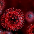 Lakossági tájékoztató koronavírussal kapcsolatos intézkedésekről