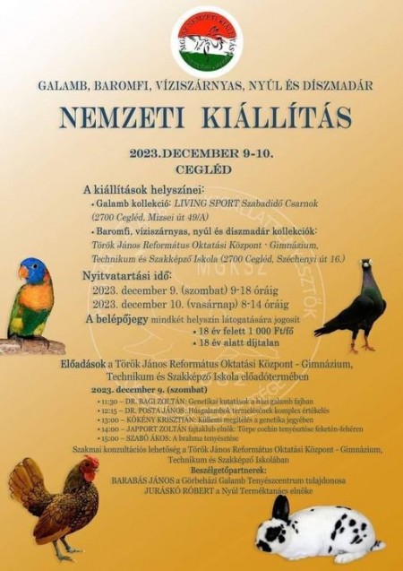 Nemzeti kiállítás
