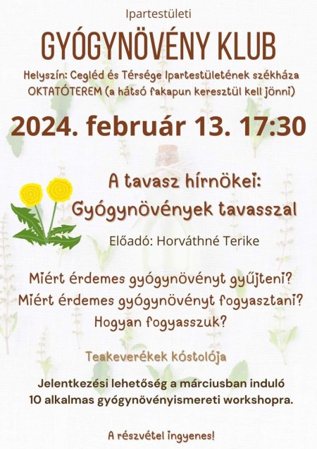 Gyógynövény Klub