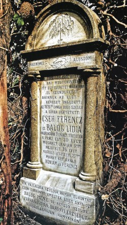 Cseh Frerencz és Balog Lidia 1876 Cseh Frerencz és Balog Lidia 1876