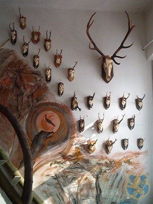 Természetrajzi Múzeum Cegléd