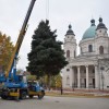 Megérkezett a város karácsonyfája (2021.11.18.)
